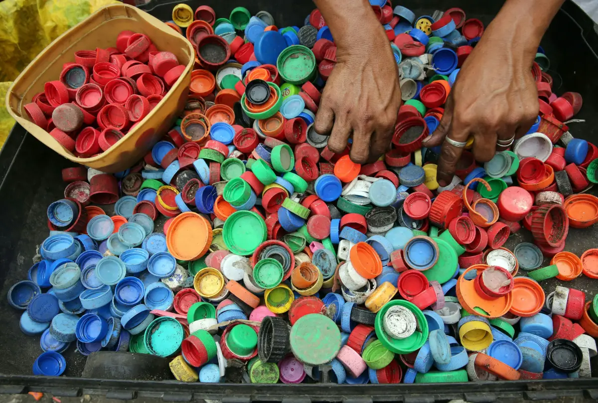 Green Plastic organization